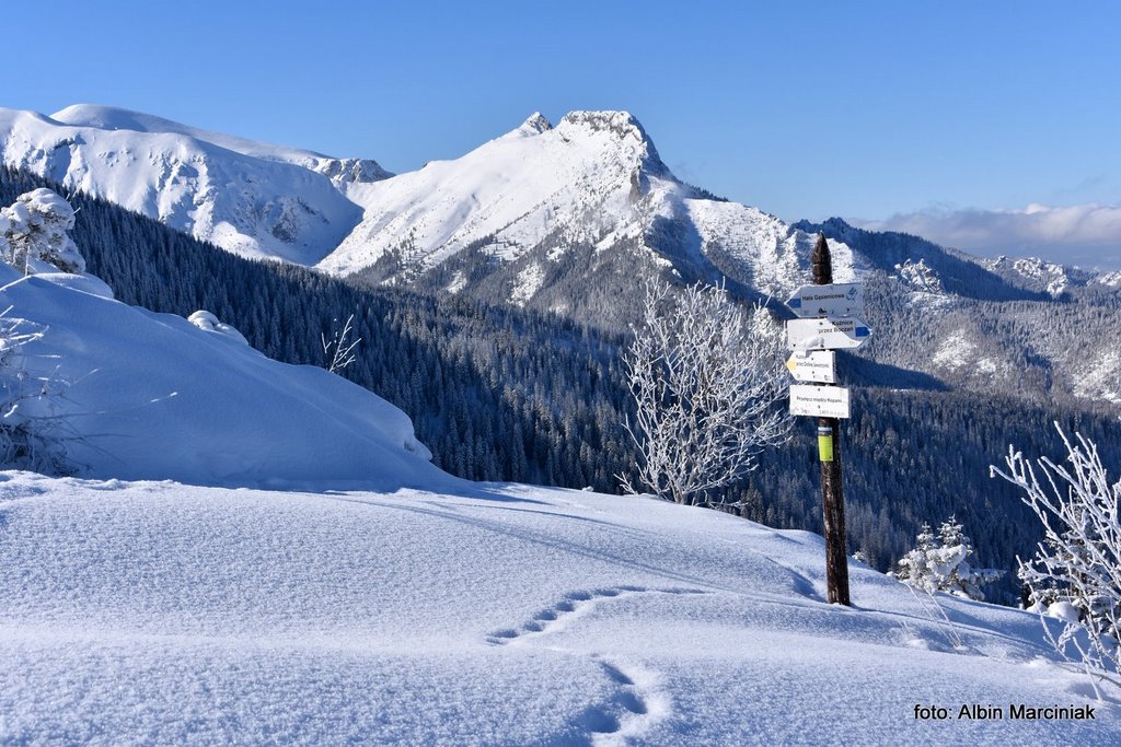 Tatry Szlak Zimowy Z Ku Nic Do Doliny G Sienicowej